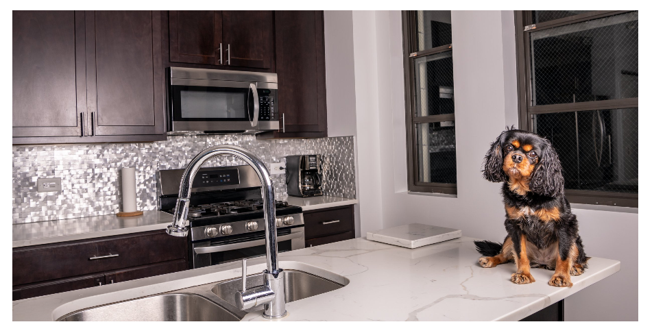 Kitchen Remodeling